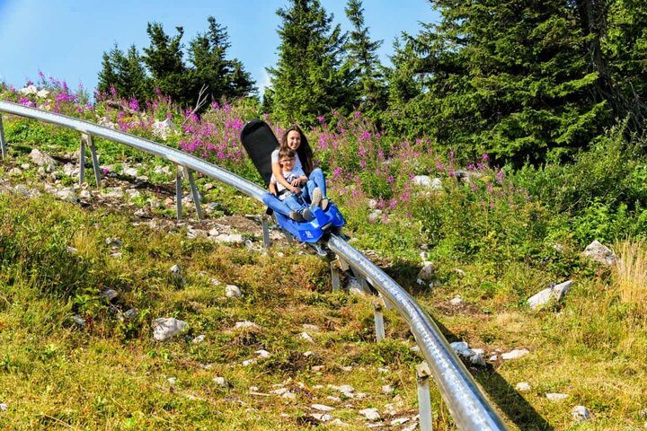 Mountain Coaster